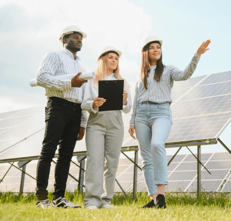 Ecology Surveys and Planning Permission: A Guide post thumbnail